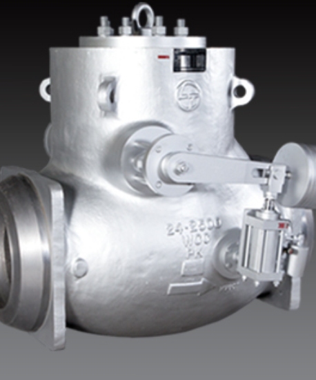 Check Valves