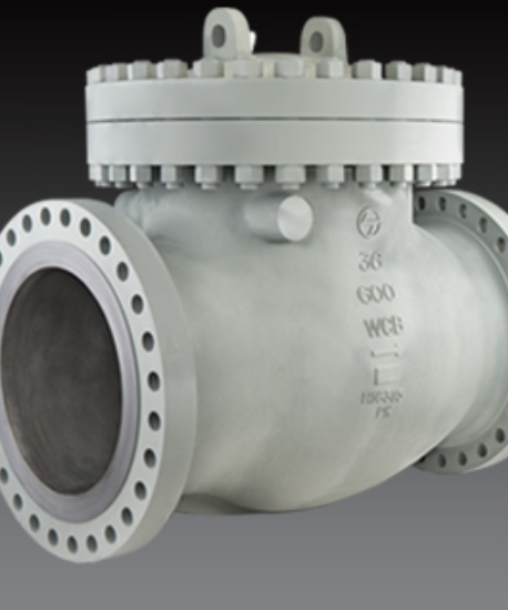 Check Valves