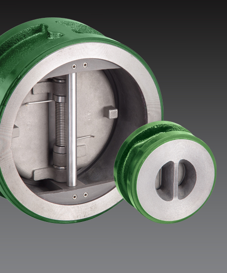 Dual-plate Check Valves