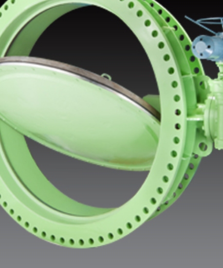 Fabricated Steel Butterfly Valves