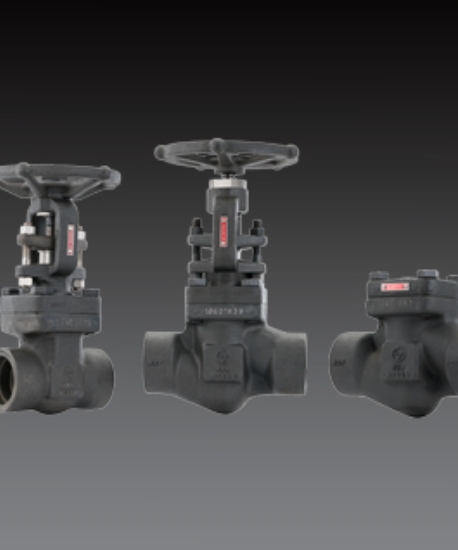 Forged Steel Valves - Class 150 to 1500