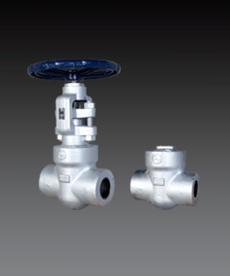 Forged Steel Valves - Class 1500 to 4500