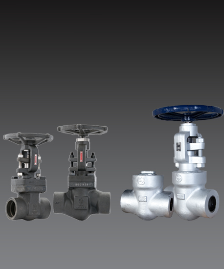 Gate, Globe & Check Valves - Small Bore