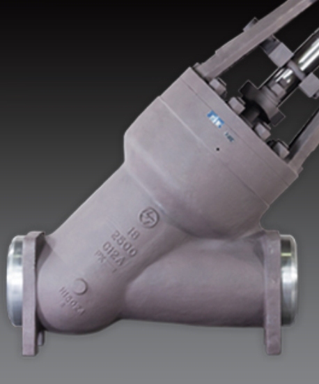 Globe Valves