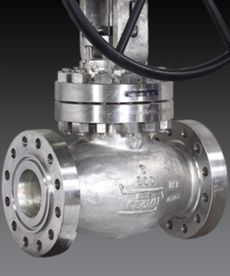 Globe Valves