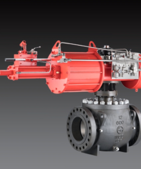 Trunnion-mounted Ball Valves